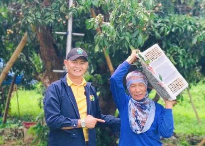 เกษตรกรเชียงใหม่ ขอบคุณ “ธนาคารที่ดิน” ช่วยเหลือให้มีที่ดินมีคุณภาพชีวิตดีขึ้น